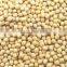 We are supplying yellow soybeans with best price for sale