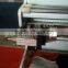 Professional Manufacturer Film Flexographic Printing Machine 2 Color