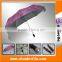 Stand Advertising LED Umbrella From Umbrella Manufacturer China