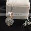 Handmade Unbreakable Heart wish drift bottle charms necklace dandelion seed bottle collar necklace
