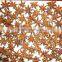 China Dried Star Anise