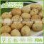 Semi-Crunch Snack Food Wasabi Coating Roasted Peanuts