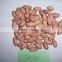 Raw peanuts shell for sale from factory directly