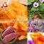 Sweet Potatos Snacks Ready to Eat healthy food