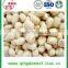 New stock 35/39 blanched peanut kernels with high quality ready for export