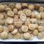 50kg drum for sale Agaricus Bisporus Professional supplier manufactures Sliced Portobello Mushrooms mushroom price