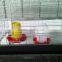 H Type, 4 tiers Chick Cage