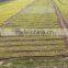 Drip Irrigation Micro Spray Tape