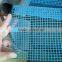 Plastic Square Flat Mesh/Square Plastic Mesh/Tree Guard Mesh(China Factory)