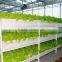 PVC tube for water growing /hydroponics system
