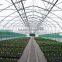 Professional greenhouse project