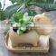 Small animal cat dog hippo shape flower pot pottery pot