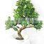 Decorative Pot Trees