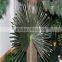 hot sale 2 meter coconut trees leaves, artificial coconut trees leaves