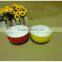 New Product colorful porcelain salad bowl