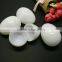 Plastic easter egg container