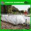 Garden use transparent plastic small greenhouse tent