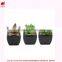 Artificial mini succulents potted succulent plant wholesale small succulent plants