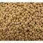 Molecular Sieves