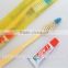 Disposable Hotel Toothbrush&Toothpaste