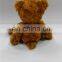 China wholesale custom graduation teddy bear