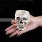 New arrival Polyresin pirate skull funny ashtray