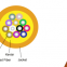 Multi-cores Distribution Armored Fiber Optic Cable
