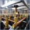 DNV Industry Gas Cylinder Racks Manifolded Cylinder Bundle