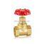 3/4 inch DN20 pn16 female thread NPT brass gate valve 200 WOG