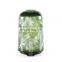 Maple Leaf 100ml 200ml Cold Fog Humidifier 7 Color LED Lamp Ultrasonic Glass Aroma Diffuser