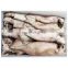 Good price frozen squid fish block for fishing bait