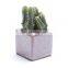 Ice Cracked Ceramic Flowerpot Square Succulent Flowerpot Colorful Mini-thumb Pot Zakka Succulent Pot For Garden Decor
