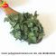 High Quality Organic Dried Celery Flakes Wholesale Price