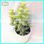 25cm high quality real touch artificial cactus plants