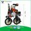 12 inch Electric Bike 250W Electric Bicycle Folding Electric Bike EN15194 EN14764 Accept OEM