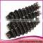 Wholesale Full Cuticle 6a Brazilian Human Hair Extension, 100Unprocessed Human Hair Deep Curly Hair Weaving Quality Choice