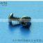 S type anti-theft screw(stainless steel anti-theft screw)with high quality