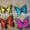 solar butterfly china
