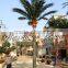 High simulation competitive price artificial coconut tree for indoor outdoor decoration