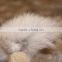 Morden Fashion Fox Head Fur Sofa Carpet Real Animal Fur Skin Blanket Could Custom Huge Size