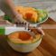 As Seen On TV Watermelon Slicer Corer Stainless Steel Fruit Peeler Faster Melon Cutter Smart Kitchen Gadget Slice right