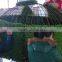 Customized Any Size Larger Plastic Grass Ball