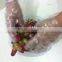 Factory wholesales disposable PE glove for food use