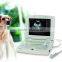 Laptop VET Ultrasound Scanner/Machine KX5000