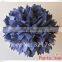 2016 Chinese new year decoration tissue paper pompom beach flag banner