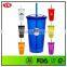 Bpa Free Insulated Double Wall 20oz Plastic Travel Tumbler With Straw