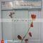 3mm 4mm 5mm 6mm 8mm low iron glass extra clear float glass