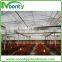 Multispan Tunnel Greenhouse for flower