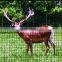 high quality PP anti-deer fence(professional factory,best price with good quality!!)