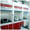 Cheap Galvanized Steel Physics Laboratory Chemical Fume Hood Price